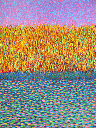 River Bank Painting